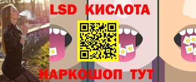 спиды Кингисепп