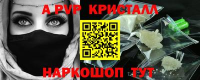 спиды Кингисепп