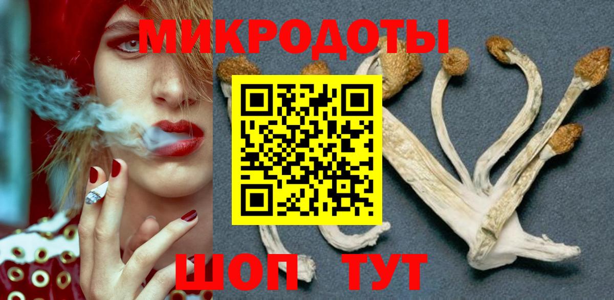 Псилоцибиновые грибы Psilocybine cubensis  Вход с VPN  Крымск 