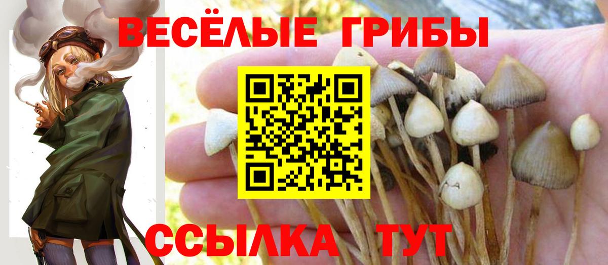 Галлюциногенные грибы Cubensis Крымск